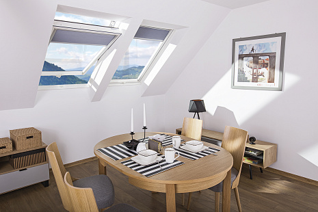 Объект из Среднеповоротные пластиковые Fakro PTP-V U3